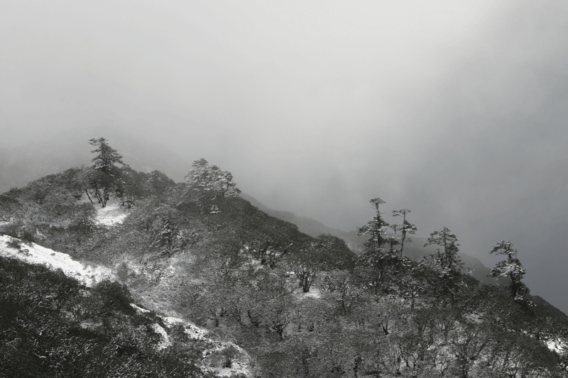 natuurenstructuur-bergen-sikkim02
